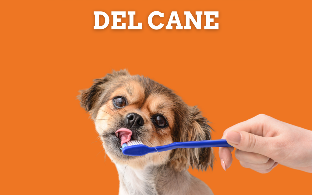 Igiene dentale del cane
