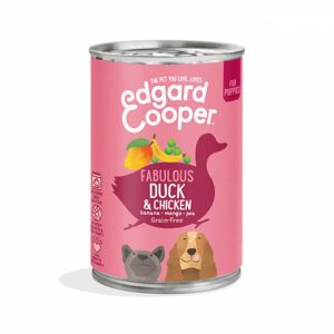Edgar cooper puppy dog - lattina