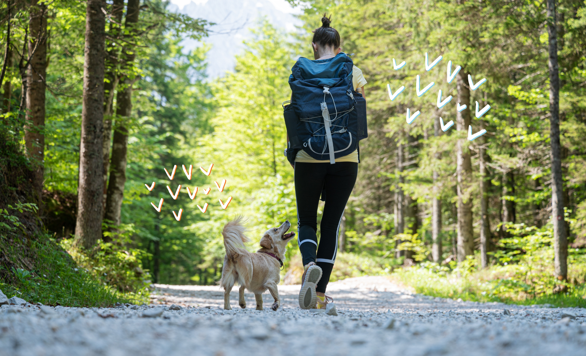 Le attività da praticare all'aperto con il cane